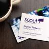 scout public affairs